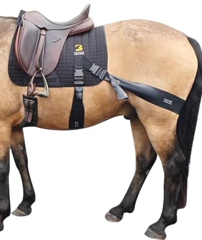 Equine Balance Bands System | Pro Grade Saddle Pad Training Aid for Horses | Dressage Saddle Style