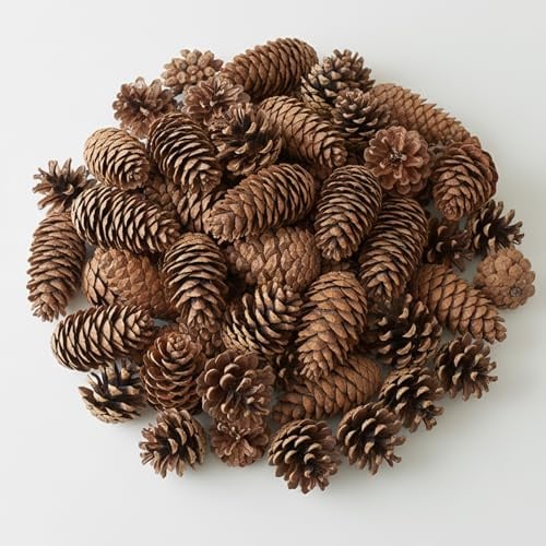 KRYMXAR 100 Tannenzapfen Dekoration, Tannenzapfen Zum Basteln, Natürliche Kiefernzapfen Für Weihnachtsbaum, Tischdeko Und Handwerk, 100 Stück