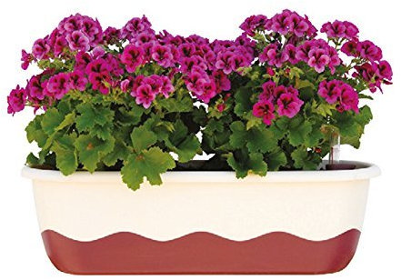 Plastia s.r.o. Blumenkasten Bewässerungskasten 'Mareta' 60 u. 80cm mit Selbstbewässerung, Farbe:Hell-Elfenbein + Weinrot, Größe/Durchmesser:80 cm