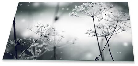 Herdabdeckplatte Abdeckung Ceranfeld Abdeckplatte Schneidebrett 1-Teilig 90x52 Pusteblume Wilder Dill Grau Spritzschutz Glasplatte Ceranfeldabdeckung Herdschutz Sicherheitsglas Glasschneidebrett