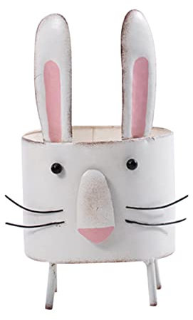 YARNOW Eisen-Rabbit-Form-sukkulenten-blumentopf Niedliches Cartoon- Für Schreibtisch Und Zuhause Für Pflanzenliebhaber Und Kreative Inneneinrichtung