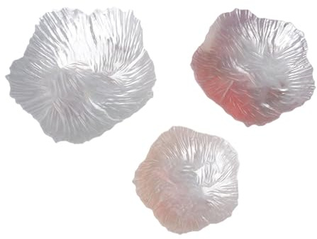 PawwJoy 3 platos de cristal en forma de flor para el hogar, vajilla para joyas, plato para decoración