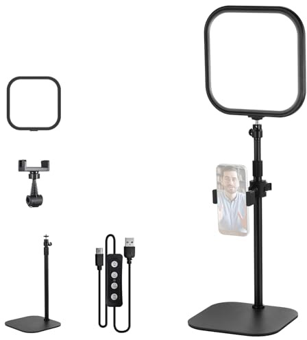 NEEWER Basics 10,8 Videokonferenz Videolicht, 15W Bi Farbe Edge Lit, L220 | Full Bildschirm Ringlicht mit Tischständer & Handyhalterung, CRI95+, für Webcam Meeting Streaming Computer Laptop Zoom Calls