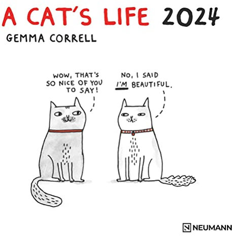 A Cat's Life 2024 - Wand-Kalender - Broschüren-Kalender - 30x30 - 30x60 geöffnet - Katzen - Cartoon