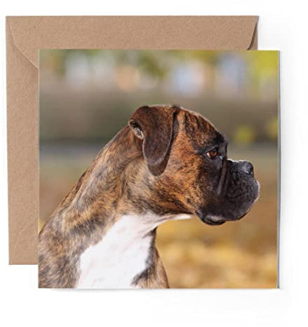 1 x Grußkarte (Fotoeinsatz) – niedlicher Boxer-Welpen-Hund, blanko Geburtstagskarte, Feier, Jahrestag, #2694