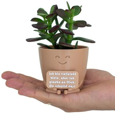 LUMENFLOW Sukkulenten Topf - Blumentopf mit Gesicht - Du schaffst das Geschenk - beliebteste Aufmunterung Geschenke - lustiger Blumentopf - Schreibtisch deko (Beige)