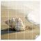 GRAZDesign Fliesenaufkleber Bad Strand & Muscheln Klebefliesen Wandfliesen selbstklebend - 20x25cm / Muschel am Strand