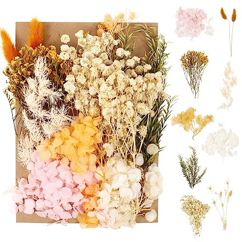 Opopark Natural Dried Flowers Set, Real Pressed Flowers for Scrapbooking, DIY Candles, Resin Jewelry Making, Crafts Home Decoration