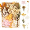 Opopark Natural Dried Flowers Set, Real Pressed Flowers for Scrapbooking, DIY Candles, Resin Jewelry Making, Crafts Home Decoration