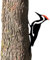 Peosaard Statue d'oiseau de Jardin, de Jardin en métal