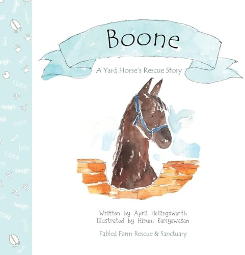 Boone - A Yard Horse's Rescue Story