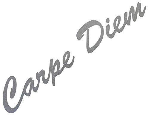 GreenIT 20cm Carpe Diem Schriftzug Aufkleber Tattoo Deko Folie Wandtattoo für Auto Wand Tür Fenster (Silber metallic)