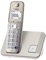 Panasonic KX-TGE210NLN