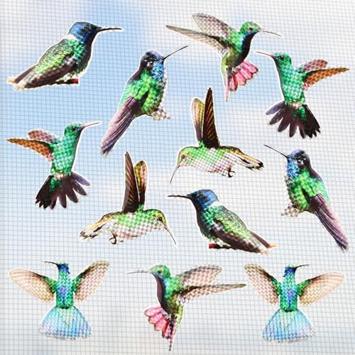12 Pezzi Magneti per Zanzariere, Adesivi per Zanzariera Adesivo Magnetico Bifacciale Magneti Decorativi per Frigorifero, Magneti Colibrì per Riparazione di Zanzariere e Anti Bird Strike