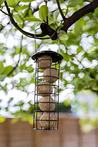 Garden Mile Fat Ball Bird Feeder for Small Birds Metal Hanging Bird Feeders for Wild Birds Perfect For Outdoors Patio Garden Fat Ball Feeder Hanging Durable Fatball Holder