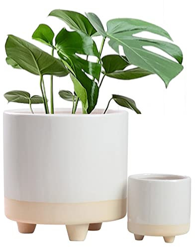 St Tropez Ceramic Plant Pots Indoor on Legs - White and Sand Planter Set 2-20cm and 10cm - Indoor & Outdoor