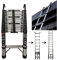 Telescopic Ladder 4.4m with Hooks, Updrage Stainless Steel Extendable Ladder with Non-Slip Feet, Portable Extension Ladder for Household and Outdoor Working