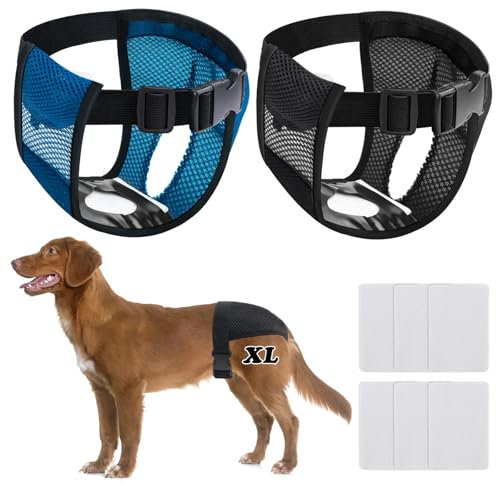 BHHTBB Läufigkeitshose für Hündinnen, 2er Pack Hundewindeln für Hündinnen, Hundehöschen Läufigkeit mit 12 Hygienepads, Waschbare Schutzhose für Weibchen Hunde Läufigkeit (XL)