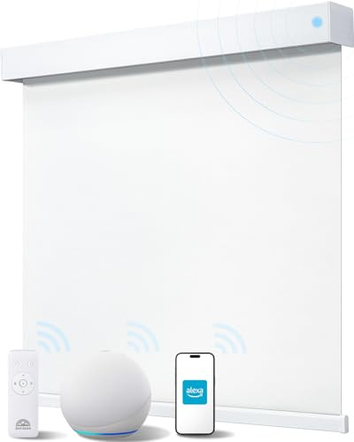 JaeJaes Alexa Smart Blinds for Windows, Blackout Electric Roller Shades with Remote Control, Easy Install Automatic Blinds for Indoor (60W x 183H CM, White)