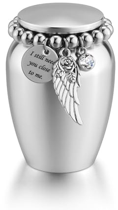 JSDDE Petite Urne pour Cendres Humaines en Aluminium avec Aile Gardienne et Charme Strass Ornement Urne Funéraire Porte Cendres Chien Chat Animal Convient Ornement Crémation Souvenir Cadeau (Argent)