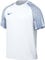 NIKE DH8031-102 M NK DF Academy JSY SS T-Shirt Men's White/Royal Blue/Royal Blue Size XL