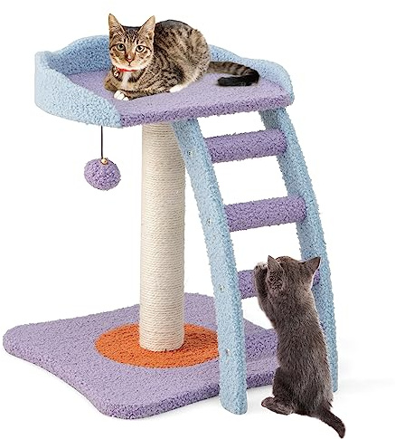 COSTWAY Kratzbaum Klein, Katzenbaum mit Leiter & weicher Sitzfläche & Ball & Basis, niedlicher Katzenkratzbaum Holz, Katzen Katzenmöbel Kletterbaum, Aktivitätsbaum Spielbaum, Lila+Blau