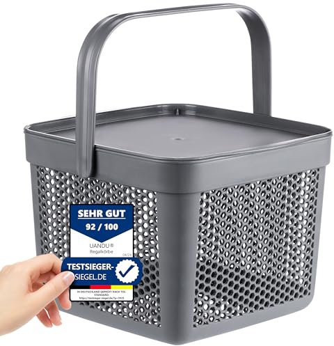uandu Aufbewahrungskorb mit Deckel 12L, Aufbewahrungsbox Groß, Korb für Spielzeug, Wäschekorb, Regal Korb, Vorratskorb, Badezimmer Aufbewahrung & Organisation, Osterkörbchen, Aufbewahrungsboxen