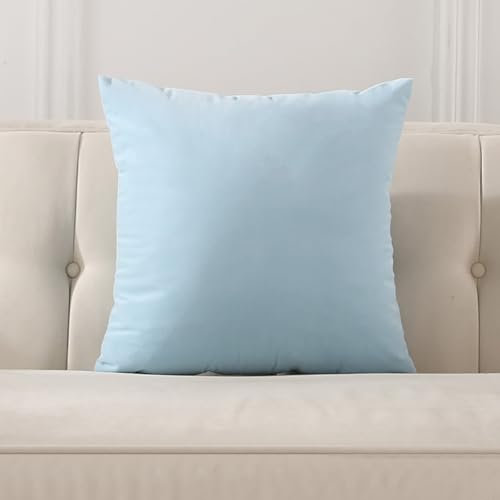 Kissenhülle 40X40 Herbst, Kissen Bezug Einfarbiger Doppelseitiger Samt Polyester Pillow Cover Hellblau 1 Stück für Sofa Bett Wohnzimmer