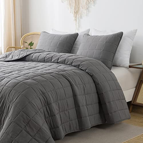 R.SHARE Tagesdecke Herbst und Winter 300×270 cm (mit 2 Kissenbezüg) Kuscheldecke Flauschig Decke, Ultra Weiche Sofaüberwurfdecke für alle Jahreszeiten, Wohndecken Steppdecke aus Mikrofaser-Grau