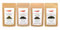GARNELEN4YOU® Probeset Hauptfutter | Premium Garnelenfutter | aus regionaler Herstellung in DE | nachhaltige Verpackung | für Caridina & Neocaridina Garnelen, Krebse und Schnecken | 4X 10 g