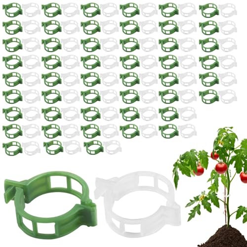 TINGTING Secured Plastic Pflanzenclips, 100 Stück Tomaten Clips pflanzenklammern für Kletterpflanzen Gesicherter Pflanzen Clips für Gemüsefrucht Befestigung (Transparent+Grün)
