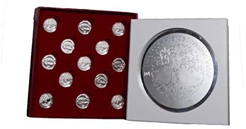 DOCOLASTRA Arras de la Vida © Personalizadas en Color Plata Brillante con Bandeja Convertible en Placa de Recuerdo y llevanza de Alianzas para Bodas y Enlaces.