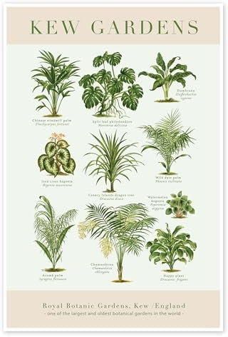 Königlicher Botanischer Garten, Kew Poster 40 x 60 cm Grün Wandbilder Wanddeko