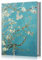 Fintie Fotoalbum 10 x 15 cm – 52 Fotos, kleine Mini-Kapazität, hochwertiges veganes Ledereinband, Fotoalbum, tragbares Brieftaschen-Fotoalbum für Familie, Hochzeit, Jungen, Mädchen, Blüte