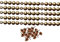 5 Liste Bullette da 100 cm + 100 chiodi - 1/3-9 mm. foro. Borchie tappezzeria (Oro vecchio)