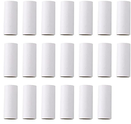Worparsen Lot de 20 rouleaux de papier toilette en carton vide robuste pour la maison, la salle de classe, l'art blanc, 20 cm