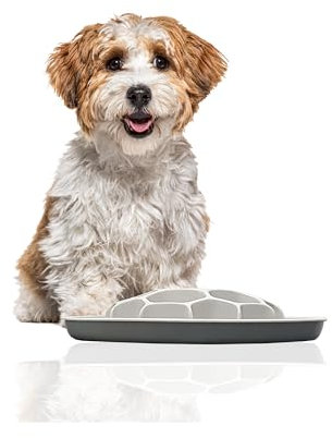 Rohrschneider Antischlingnapf Sporty Hunde | Antischlingnapf Sporty Katze | Futternapf Sporty Katze | Futternapf Sporty Hund | Fressnapf Sporty Hund | Fressnapf Sporty Katze (Grau)