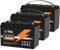 LiTime LiFePO4 12V 100Ah Lithium Batterie, 1280Wh Lithium Akku mit 100A BMS Max. 15000 Zyklen(3 Pack)