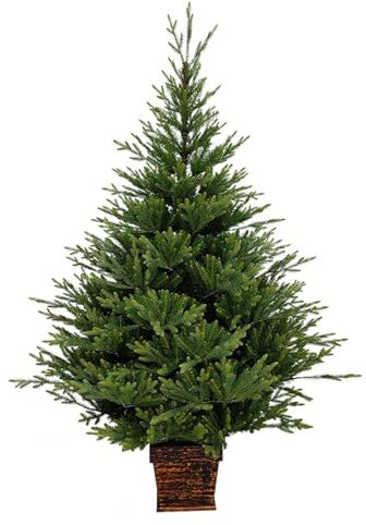 Albero di Natale in vaso da 7 piedi con vaso verde finto albero di Natale for portico anteriore, interni ed esterni, decorazione natalizia
