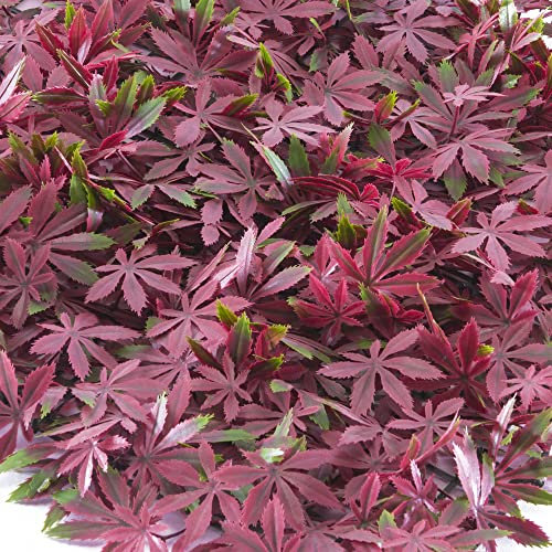 TENAX Pannello Componibile con Foglie Artificiali Tipo Acero Rosso, Divy Panel Arce 0,5x0,5 m per Decorazione Parete Giardino Verticale