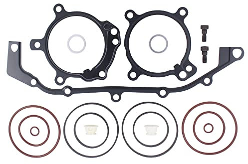 Doo Engy Doppel Vanos Reparatursatz Dichtungen Doppelvanos O-Ring Reparatur Satz Vanos Dichtsatz Dichtung für 3er E46 5er E39 E60 E61 7er E38 E65 E66 E67 Z3 E36 Z4 E85 X3 E83 X5 E53