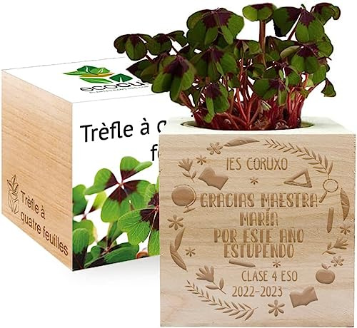 Amikado - Ecocubo Gracias Maestra Grabado - Plantas en cubo de Madera - 100% Ecológico - idea de regalo sostenible - (Trébol 4 hojas)
