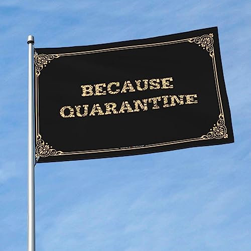 Lustige Gartenflaggen, weil Quarantäne-Flagge, Herbstdekoration, Outdoor-Windsäcke für den Außenbereich (30 x 45 cm)