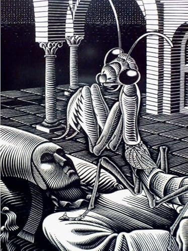 RUIYANMQ Puzzle 1000 Stück M C Eschers Kunstwerk Poster Reproduktion Spielzeug Erwachsene Dekompression Spiel Vy208Nt