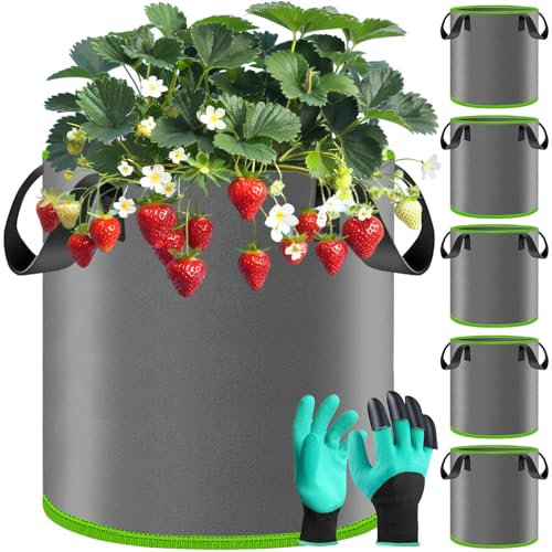 BBLTIFF Lot de 5 Sac de Plantation, 30 L Non-tissé Sac Pomme de Terre avec Poignée et Paire de Gants, Sacs à Plantes, Sac Géotextile, Sacs à Plantes de Tomate pour la Culture de Plantes, de Fruits