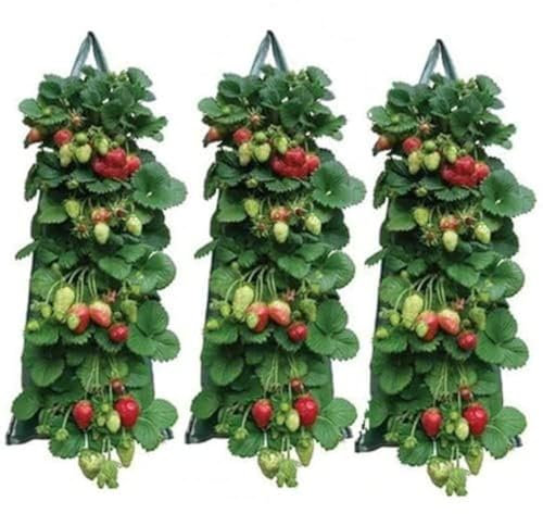 Maceta colgante de fresas 2024, bolsas de cultivo de tomates al revés para patio, jardín, con asa para exteriores (3)