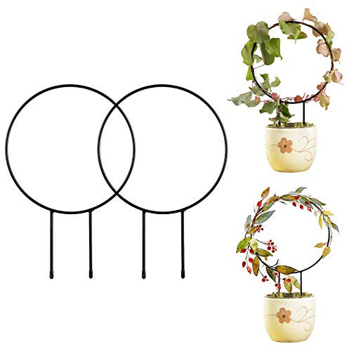 YHNJI 2Pcs Garden Trellis for Climbing Plants, Round& Heart-Shaped Plant Support Stake Metal Rustproof Garden Frame for Potted Plants Vines