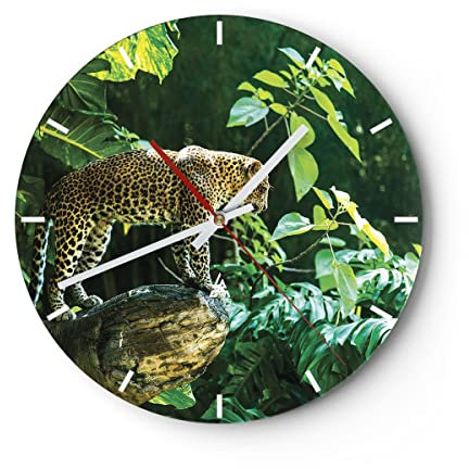 Modern Wanduhr Dschungel Leopard Panther 30x30cm Rund Klein Wand Uhr Glas Analog Zimmeruhren Küche Büro Wohnzimmer Glasuhr Wall Clock Dekoration Design Wanddekoration Küchenuhr C3AR30x30-4502