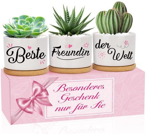 MestectPET Geschenke für Freundin, Beste Freundin der Welt Blumentöpfe zum Geburtstag, Weihnachten, Muttertag, Dankeschön Geschenke Freundschaftsgeschenke
