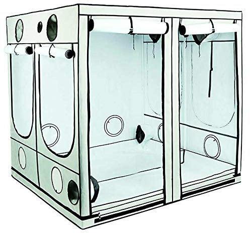 Weedness HOMEbox Ambient 200x200x220 cm - Zuchtzelt Growschrank Growzelt Zuchtbox Gewächszelt Homebox Lichtdicht Anbau Grow Indoor